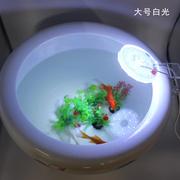 陶瓷圆缸专用照明灯圆形鱼缸，防水灯吸盘式小圆，灯鱼盆水草装饰灯光