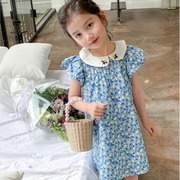 女童裙子刺绣娃娃领飞袖连衣裙公主裙2024夏装外贸童装