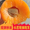 山西金太阳大黄杏子新鲜孕妇水果当季大黄杏红杏甜杏整箱5斤