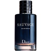 diordior迪奥旷野，男士香水edp60ml