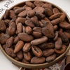 巴布新几内亚委内瑞拉可可豆烘焙原料纯可可0蔗糖巧克力原料