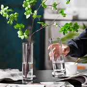 现代简约北欧ins风创意，玻璃花瓶透明水养，鲜花插花餐桌装饰品摆件
