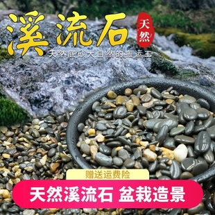 天然鹅卵石原生溪流石白石子鱼缸铺底砂水箱装饰过滤造景小石头子