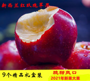 新西兰进口红玫瑰苹果queen皇后9个大果甜脆水果新鲜新应季(新应季)水果