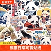 50张熊猫日常可爱卡通贴纸，简约手机壳，笔记本电脑装饰防水diy粘贴