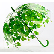 个性创意树叶透明伞小清新阿波罗伞，长柄伞拱形，枫叶雨伞蘑菇公主伞