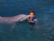 墨西哥坎昆旅游  在女人海滩与海豚一起游泳