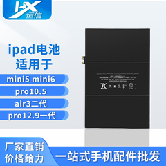 恒信iPad电池适用于mini5 mini6 pro10.5 air3二代 pro12.9一代