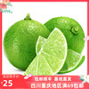 成都好特蔬越南青柠檬新鲜水果调酒食材 Green lemon500g