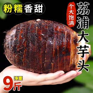 广西新鲜大芋头9斤农家特产紫藤毛芋头香芋槟榔芋蔬菜