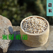 新货小薏米薏仁米薏米仁新鲜药食同源450克贵州小薏米