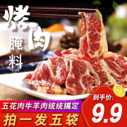 烧烤煨肉拌肉料东北烤肉，腌制料韩式五花肉羊肉串，烤翅调料粉家用