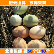北京正宗土鸡蛋农家散养新鲜柴鸡蛋，宝宝辅食乌鸡蛋20枚起售