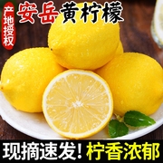 四川安岳黄柠檬新鲜水果皮薄当季10整箱选香水柠檬小金桔斤非无籽