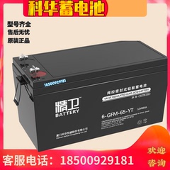 精卫蓄电池6-GFM-65-YT 精卫UPS电池12V65AH铅酸免维护蓄电池