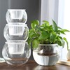 玻璃花瓶透明水养花盆绿植水培，器皿容器郁金香绿萝桌面，创意小摆件
