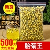 菊花茶胎菊王头采500g散装桐乡正宗杭白菊花茶特级菊花茶贡菊花茶