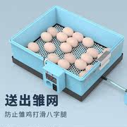全自动孵化机家用鸡鸭鹅孵化器，鸽子鸟蛋小型孵蛋，箱水床恒温孵蛋器