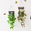 北欧墙上水培花瓶玻璃壁挂木架花器吊瓶摆件绿植绿萝挂墙上装饰品