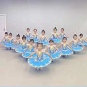 儿童芭蕾舞裙演出服tutu蓬蓬纱裙小天鹅舞蹈吊带女童芭蕾表演服装