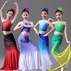 儿童傣族舞蹈服成人舞蹈，演出服艺考孔雀舞表演服鱼尾裙练功服