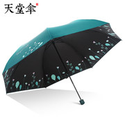 天堂超轻雨伞遮阳伞防紫外线女防晒伞，太阳伞伞小巧便携铅笔伞甜美