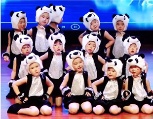 六一儿童动物，表演服装小熊猫pandapanda演出服熊猫动物，幼儿舞蹈服