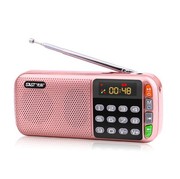 Shinco/新科 N28收音机老人老年人便携式播放器充电广播随身听