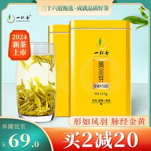 2024新茶上市一杯香黄金芽明前白茶茶叶安吉绿茶礼盒装春茶浓香型