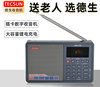 tecsun德生icr-110插卡大收音机，老年人录音mp3便携式半导体音响
