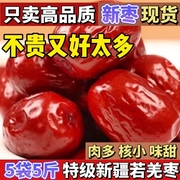 新疆红枣若羌灰枣特级5斤特大干果特产，和田大枣新货零食1