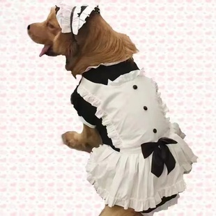 宠物中大型狗狗裙子变身装女仆衣服围裙，头饰金毛萨摩巨贵可爱装扮