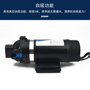DP-160S 隔膜高压喷雾水泵直流交流往复式自吸泵净水器压路机