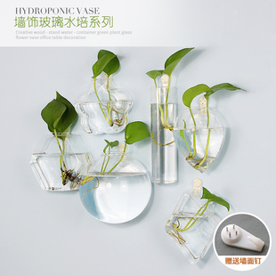 水培器皿可挂花瓶玻璃，透明创意绿萝植物，容器清新简约客厅墙上装饰