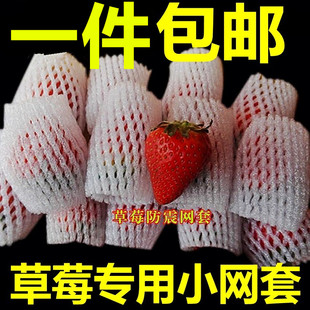 草莓枇杷专用水果网套苹果梨泡沫发泡包装猕猴桃橙子防震网兜网袋
