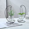 创意铁架水培绿萝玻璃，花瓶容器盆办公室内桌面绿植现代摆件装饰品