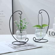 创意铁架水培绿萝玻璃花瓶容器，盆办公室内桌面，绿植现代摆件装饰品