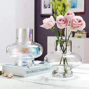 欧式灯笼玻璃花瓶鲜花玫瑰，水培插花器办公室桌面幻彩花瓶容器