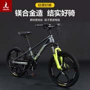 上海凤凰儿童自行车2022寸镁合金男女孩学生青少年中大童山地车