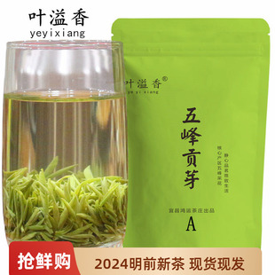 茶叶绿茶五峰贡芽毛尖2024明前新茶500g袋装宜昌特产高山茶叶溢香