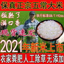 五常大米/新米/原粮稻花香2号/拉林河畔东北大米粳米宝宝米/10斤