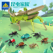 开智昆虫积木8盒装蚂蚱，金龟子蟋蟀组装模型，儿童拼装拼插玩具80041