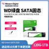 WD西部数据固态硬盘120g 240g 480g西数m2ssd绿盘SATA协议硬盘
