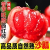 陕西正宗普罗旺斯西红柿应季新鲜番茄自然熟沙瓤，生吃蔬菜大果礼盒