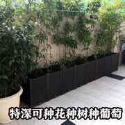 阳台种菜盆家庭特大长条，花盆塑料蔬菜，种植箱长方形种植槽果树葡萄