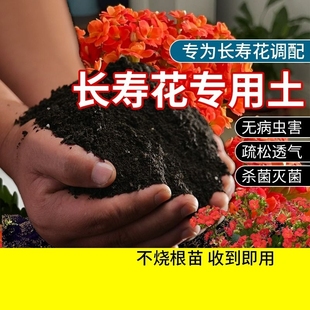 长寿花专用土花土营养土栽培土的土壤泥土盆栽肥料生物发酵疏松