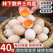新鲜土鸡蛋农家散养正宗草，鸡蛋笨柴鸡蛋，孕妇柴鸡蛋40枚整箱禽蛋