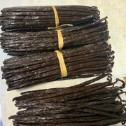 马达加斯加香草豆荚香荚兰17-19厘米烘焙原料50克装