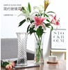 特大号玻璃花瓶家用创意透明水养，富贵竹百合花瓶，客厅插花干花摆件