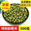 菊花茶桐乡胎菊米头采特级正宗杭白菊贡菊花茶500g散装新花草茶叶